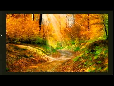 優しい陽射し /　尾崎豊　Yutaka Ozaki