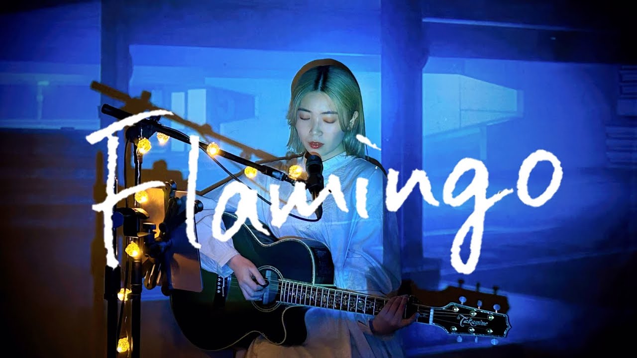Flamingo / 米津玄師 Cover by 野田愛実(NodaEmi)