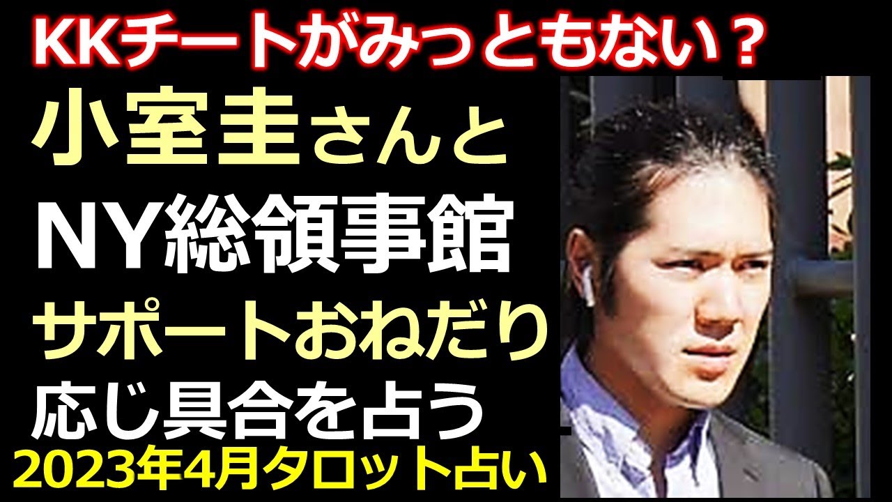 「自力で行けば？」小室圭さんとNY総領事館・仕事の支援/サポートの有無を占う【タロット占い】