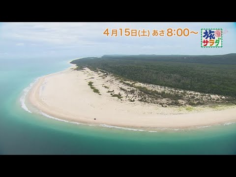 海外の旅はオーストラリアへ！ゲストの旅は内藤剛志！「旅サラダ」4月15日（土）放送