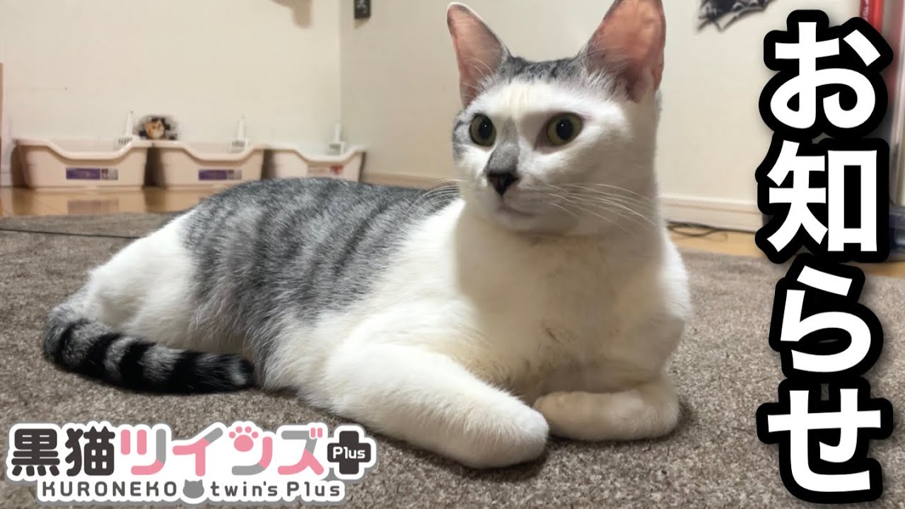 視聴者さまに春馬についてお知らせしたい事がございます。