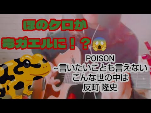 【反町隆史】POISON~言いたいことも言えないこんな世の中は #反町 隆史の曲 #POISON #弾き語り