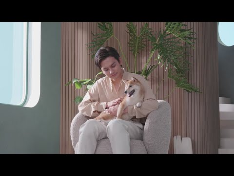 北村匠海が子犬とふれあう場面も!!新テレビCM「Village Town – 北村の匠海 -」撮影メイキングムービー