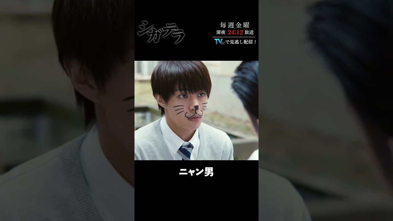 「 #シガテラ 」【ニャン男ver.】 テレビ東京系 毎週金曜24時12分から放送&TVerで配信中！#醍醐虎汰朗 #関水渚 #長谷川慎 #shorts
