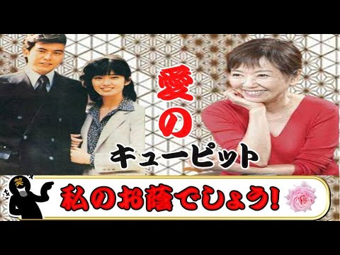 犬好き動物愛護活動・浅田美代子は、結婚前の山口百恵と三浦友和の愛のキューピッドだった驚きの証言。　#ブラボー  #happy