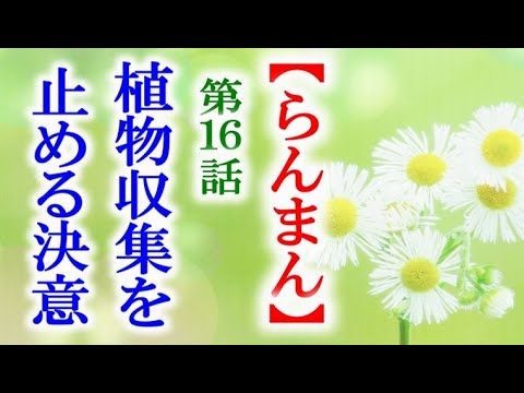 【らんまん】朝ドラ 第16話 土佐に帰った万太郎の決意に竹雄は…連続テレビ小説第15話感想