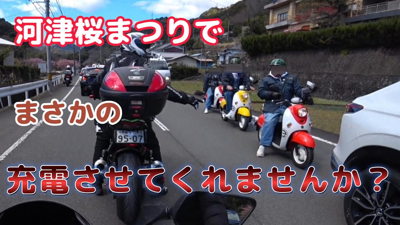【女性ライダー】【神回】河津桜祭りでまさかの充電させてもらえませんか？【Ninja1000】【YZF-R25】