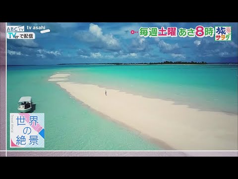 「朝だ！生です旅サラダ」毎週土曜あさ放送！