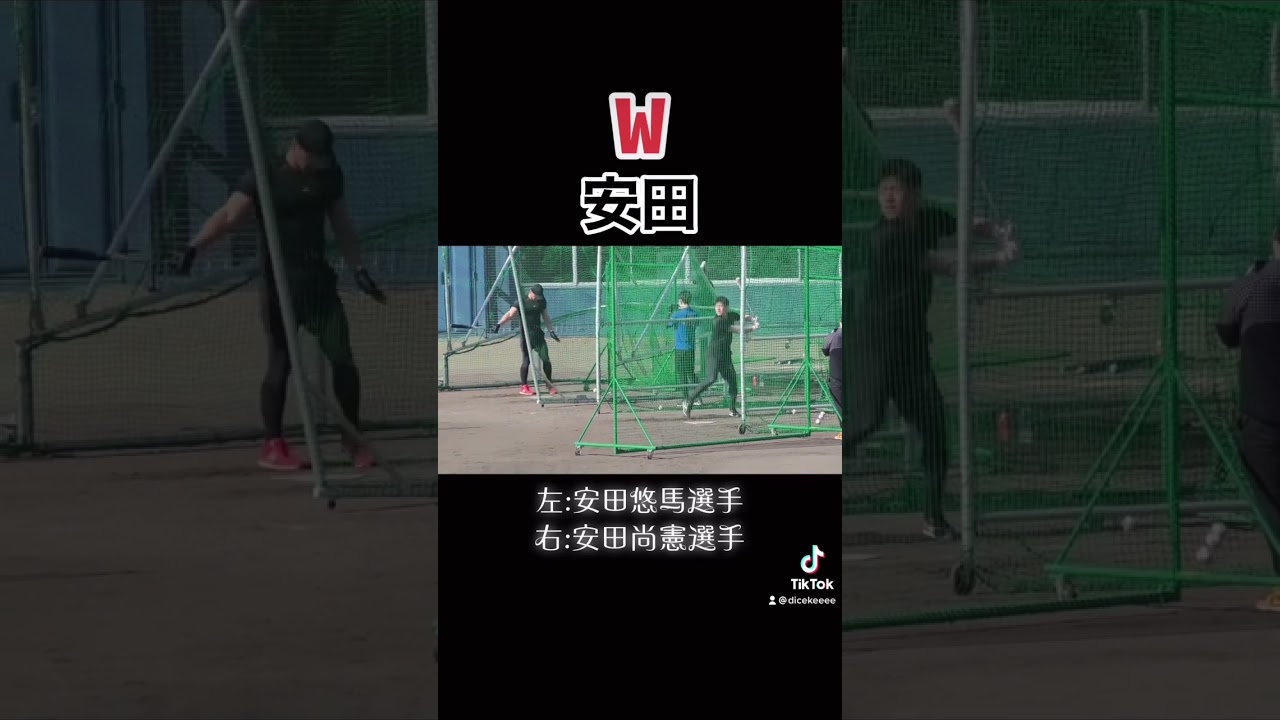 ダブル安田のフリー打撃！安田悠馬選手の逆三角形が目を引く！#プロ野球2023 #自主トレ #楽天ゴールデンイーグルス #千葉ロッテマリーンズ