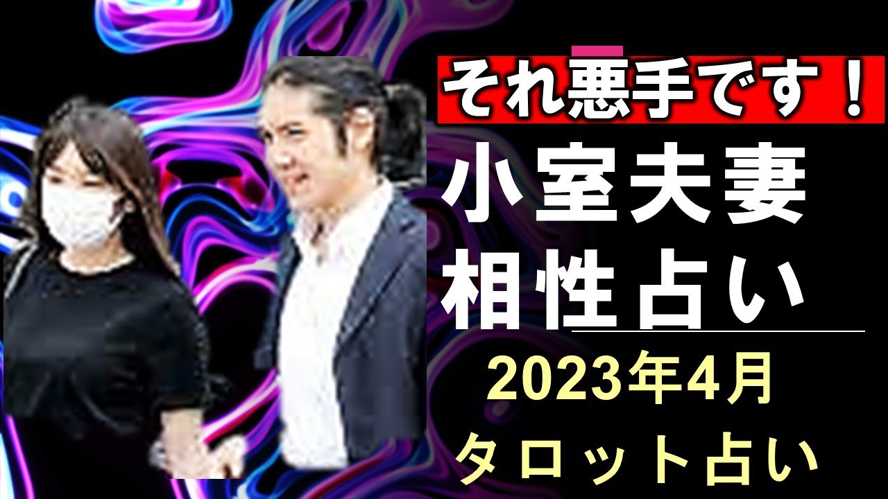 KKの情が消え…触らぬ神に祟りなし❓小室眞子さん小室圭さん夫妻の相性を占う【タロット占い】