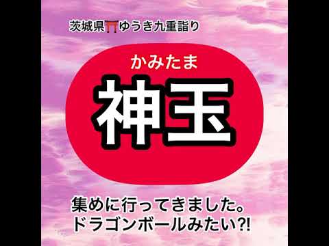 ✨感謝✨《神玉》集め🐉ドラゴンボールみたい❣️茨城県ゆうき九重詣り⛩一言主神社⛩〜健田須賀神社⛩