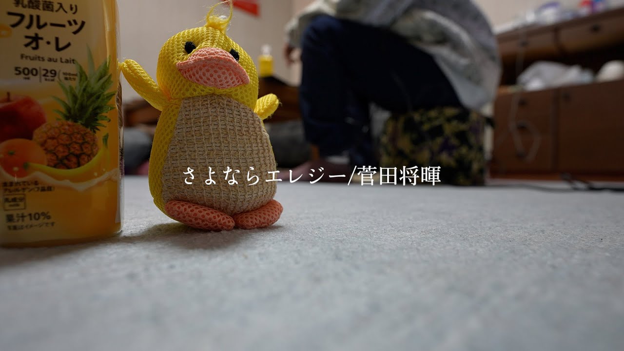 さよならエレジー/菅田将暉 歌ってみた 弾いてみた 弾き語り ユニット cover guitar.ゆとゆと【a7SⅢ-SEL20F18G/SHD】