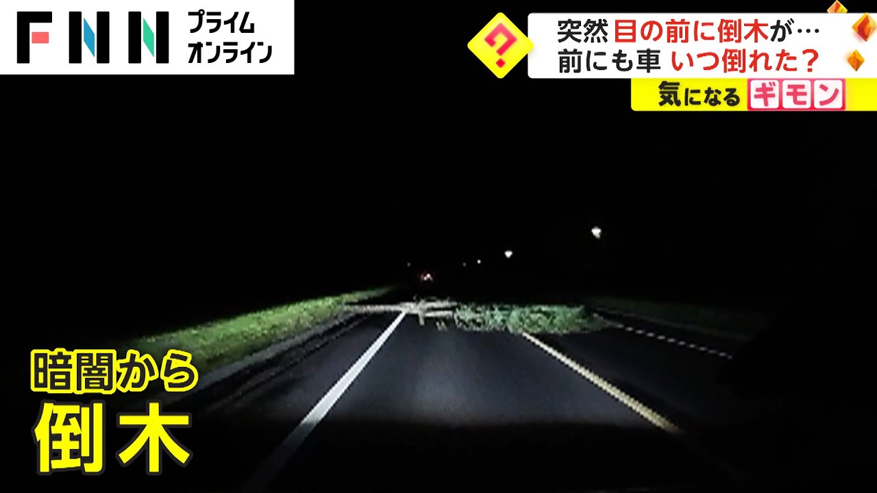 突然目の前に倒木が...　前にも車 いつ倒れた?　栃木・小山市