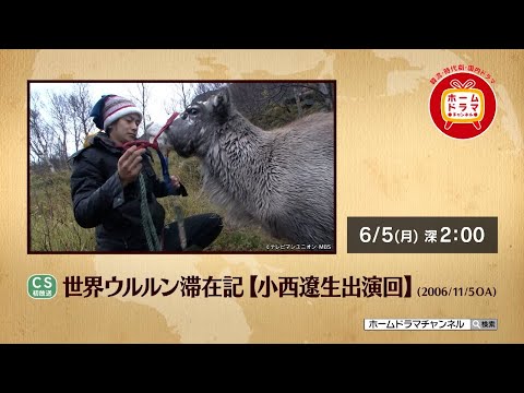 【6月】 世界ウルルン滞在記　小西遼生 （CS初）／井上芳雄／浦井健治／高橋一生／酒井一圭／白川裕二郎　出演回　30秒放送予告