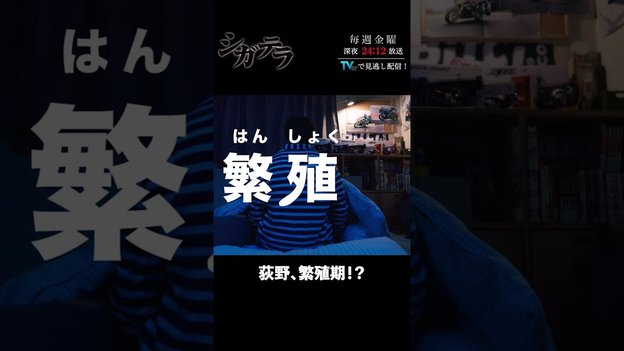 「#シガテラ」【荻野、繁殖期！？ver.】 テレビ東京系 毎週金曜24時12分から放送&TVerで配信中！#醍醐虎汰朗 #関水渚 #長谷川慎 #shorts