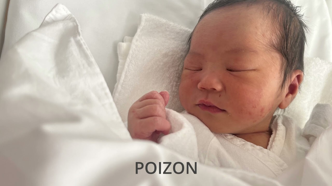 【広告なし】POIZON 反町隆史　我が家用　歌詞あり