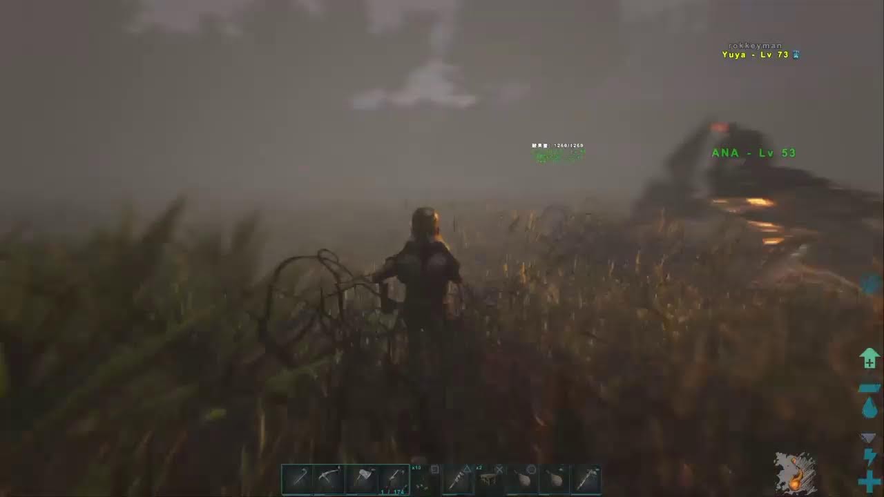 銀ちゃんのあーく