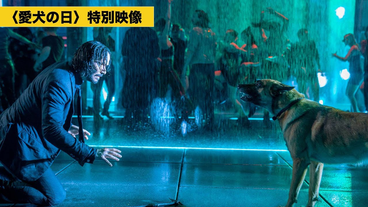 【特別映像】「ジョン・ウィック：コンセクエンス」“愛犬の日”特別映像