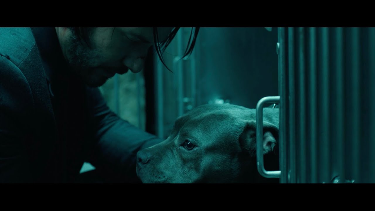 キアヌと犬！『ジョン・ウィック：コンセクエンス』愛犬の日記念映像