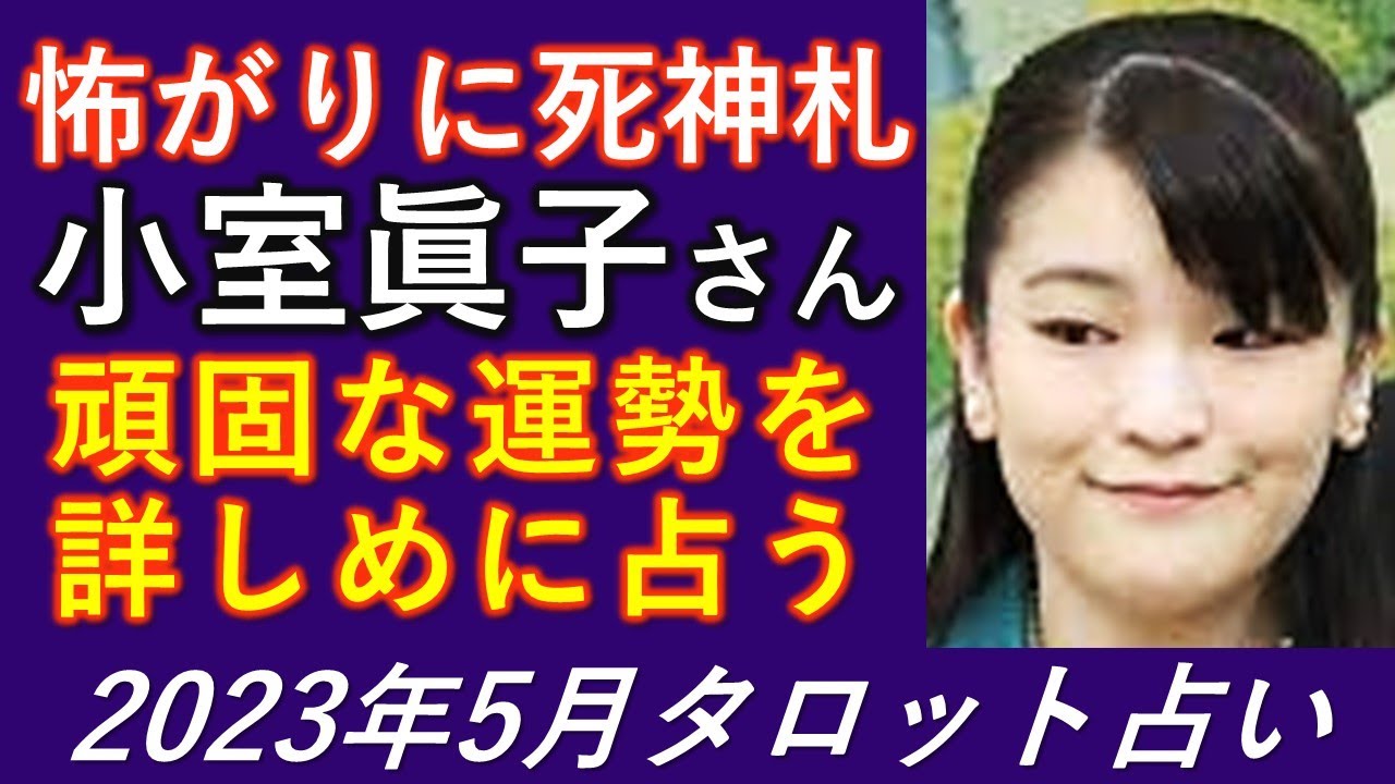 敵が見える❓旅に恐れ❓小室圭さんのお金の話への反応が斜め上❓小室眞子さんの運勢を詳しめに占う【タロット占い】