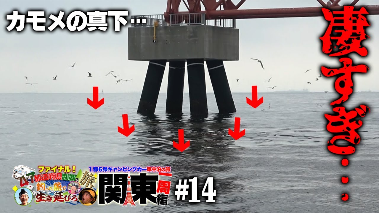 【爆釣】空港のここがヤバい！【47都道府県の旅 ファイナル（関東編）#14】