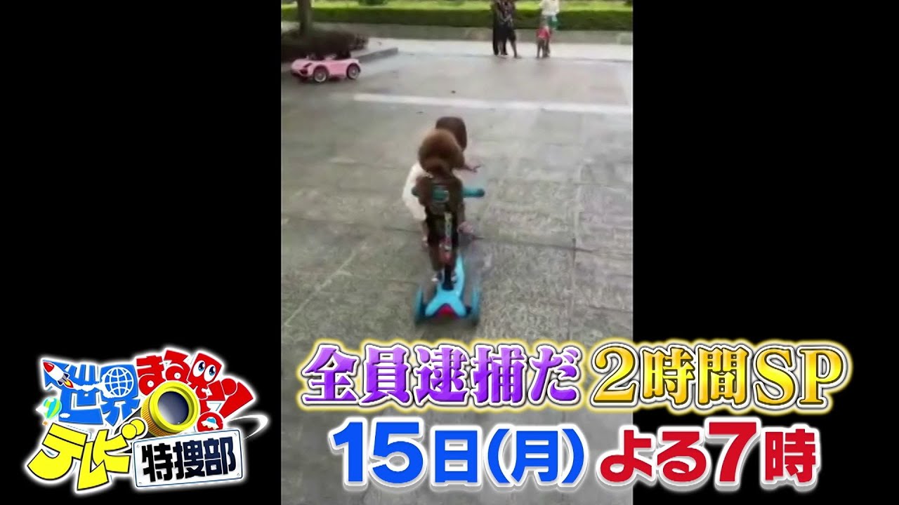 【世界まる見え】 5月15日（月）よる7時