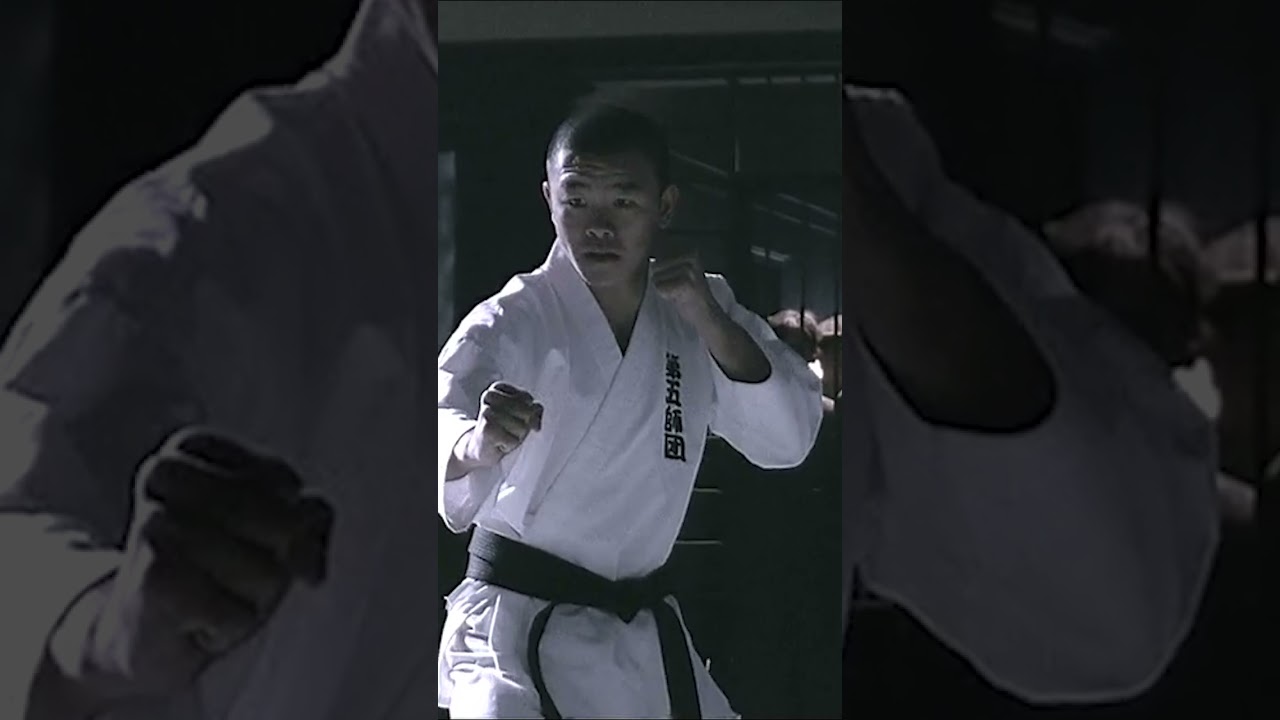 DONNIE YEN Doesn't Like This Guy | IP MAN (2008) #shorts