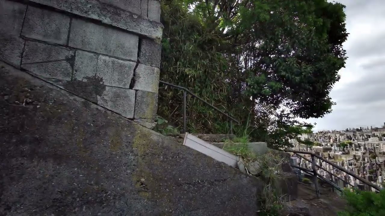 【4K】高品格が松田優作に、自分が「怪盗黒猫」であると告げるシーン、2023年5月1日