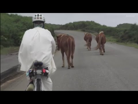 Journey of the heart across japan #1160 (2023)