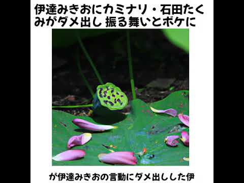 伊達みきおにカミナリ・石田たくみがダメ出し 振る舞いとボケに不満