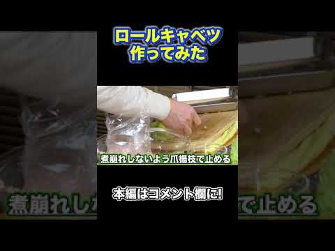 これが草彅剛のロールキャベツだ！！ #Shorts #草彅剛 #ロールキャベツ #キャベツ #料理