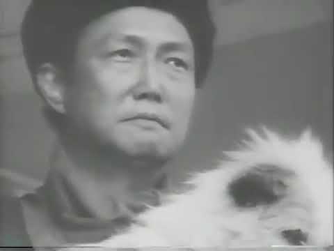 収容所（ラーゲリー）から来た遺書💥🚀💥時代劇スペシャル