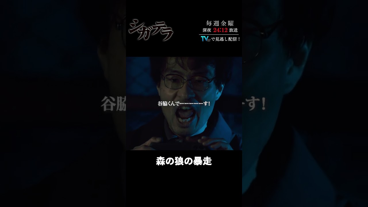 「#シガテラ」【森の狼の暴走ver.】 テレビ東京系 毎週金曜24時12分から放送&TVerで配信中！#醍醐虎汰朗 #関水渚 #長谷川慎 #shorts