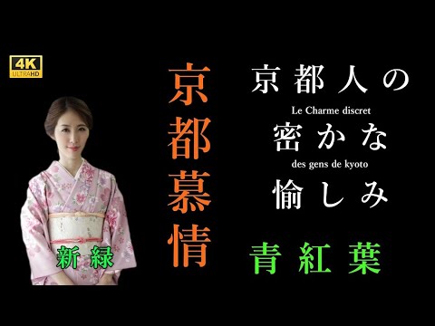 【新緑の季節】京都へ行こう！京都は春の桜や秋の紅葉だけでなく、初夏に美しく輝く青もみじも見逃せない魅力。青もみじは、若葉が透き通るように鮮やかな緑色に染まり、爽やかな風と共に目を楽しませてくれます