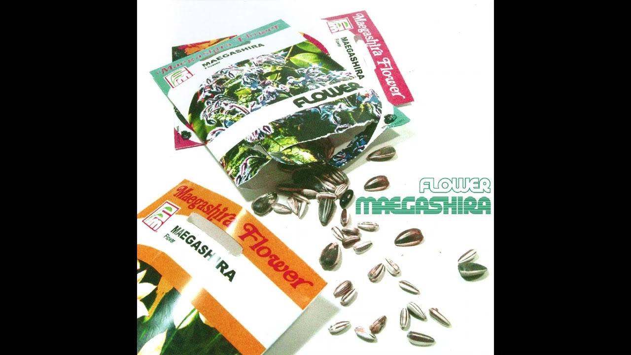 maegashira「勝新 」