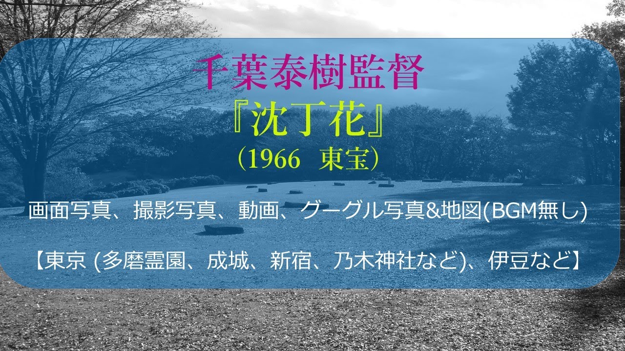 千葉泰樹監督『沈丁花』