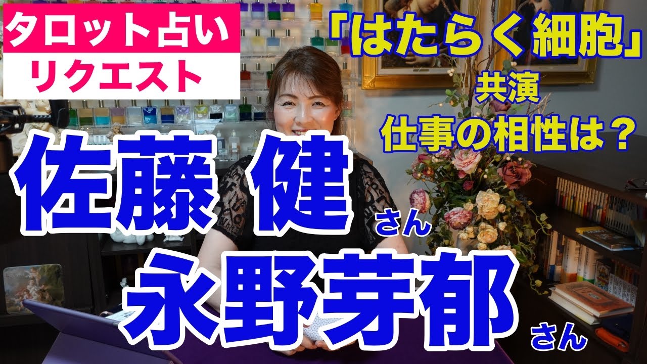 【占い】佐藤健さんと永野芽郁さんの仕事の相性をタロットで占ってみた✨映画「はたらく細胞」で共演【リクエスト占い】