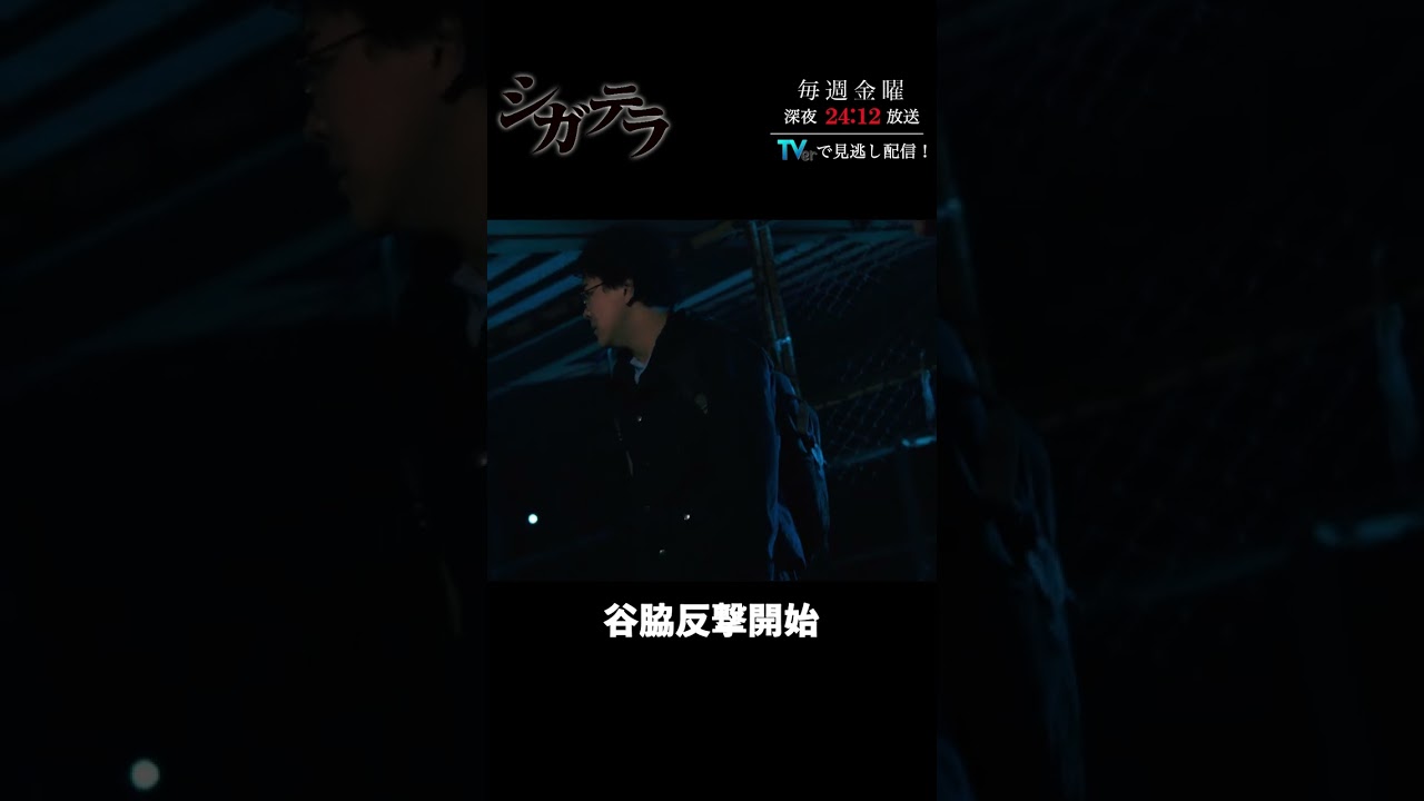「#シガテラ」【谷脇反撃開始ver.】 テレビ東京系 毎週金曜24時12分から放送&TVerで配信中！#醍醐虎汰朗 #関水渚 #長谷川慎 #shorts
