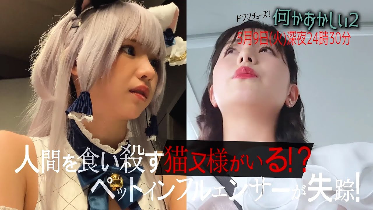 【予告】何かおかしい２　第6話「猫又様」
