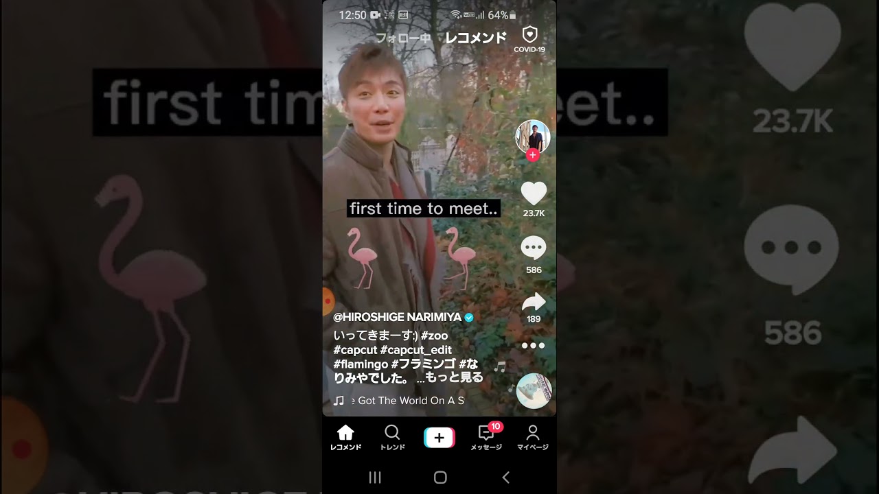 相棒に出てたカイトくんの日常　成宮寛貴