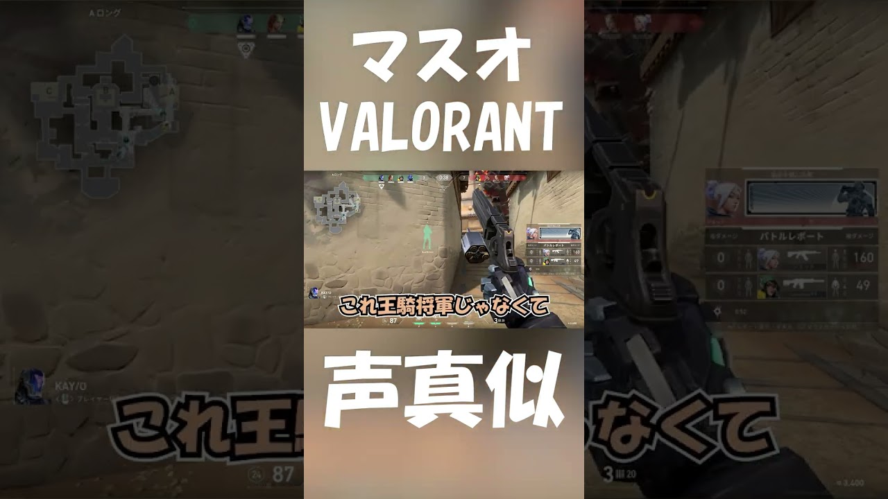 野良にこんな頭可笑しいやつ来たらどうしますか？【VALORANT】