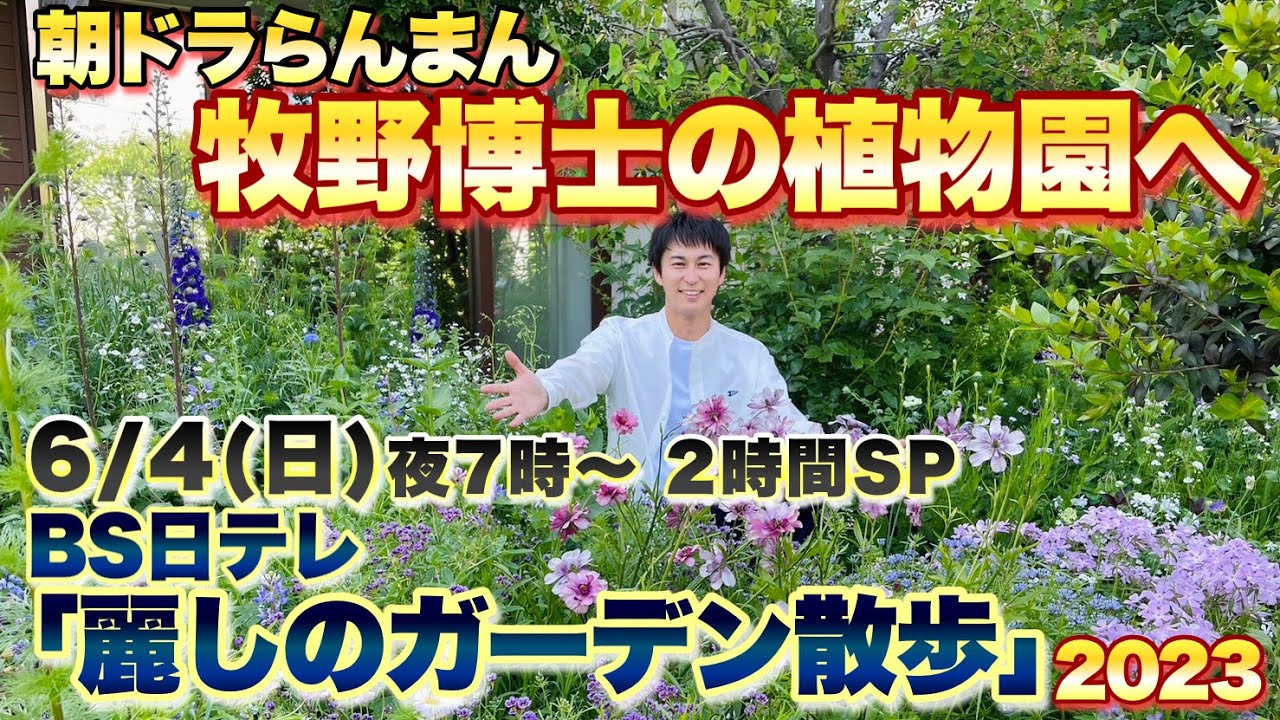 朝ドラらんまんのモデル 牧野富太郎博士の植物園へ！