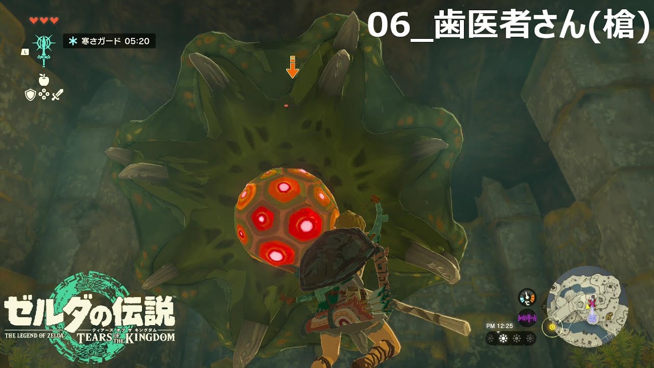 【実況】関西弁のリンクが大空を翔ける！！『ゼルダの伝説_ティアーズ オブ ザ キングダム』_06