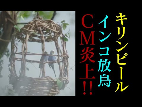 キリンビールCM炎上クレーム問題謝罪セキセインコ星野源鳥かご放送中止動画修正前カット削除愛鳥家批判籠檻何が不適切放鳥多部未華子淡麗グリーンラベルGREEN JUKEBOX（居）篇ギター弾き語り