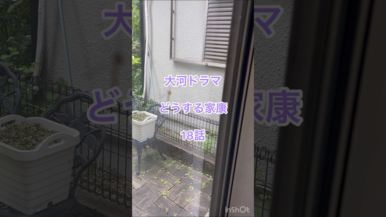 どうする家康18話 三方ヶ原合戦 夏目吉信演じる甲本雅裕さんの好演に大号泣