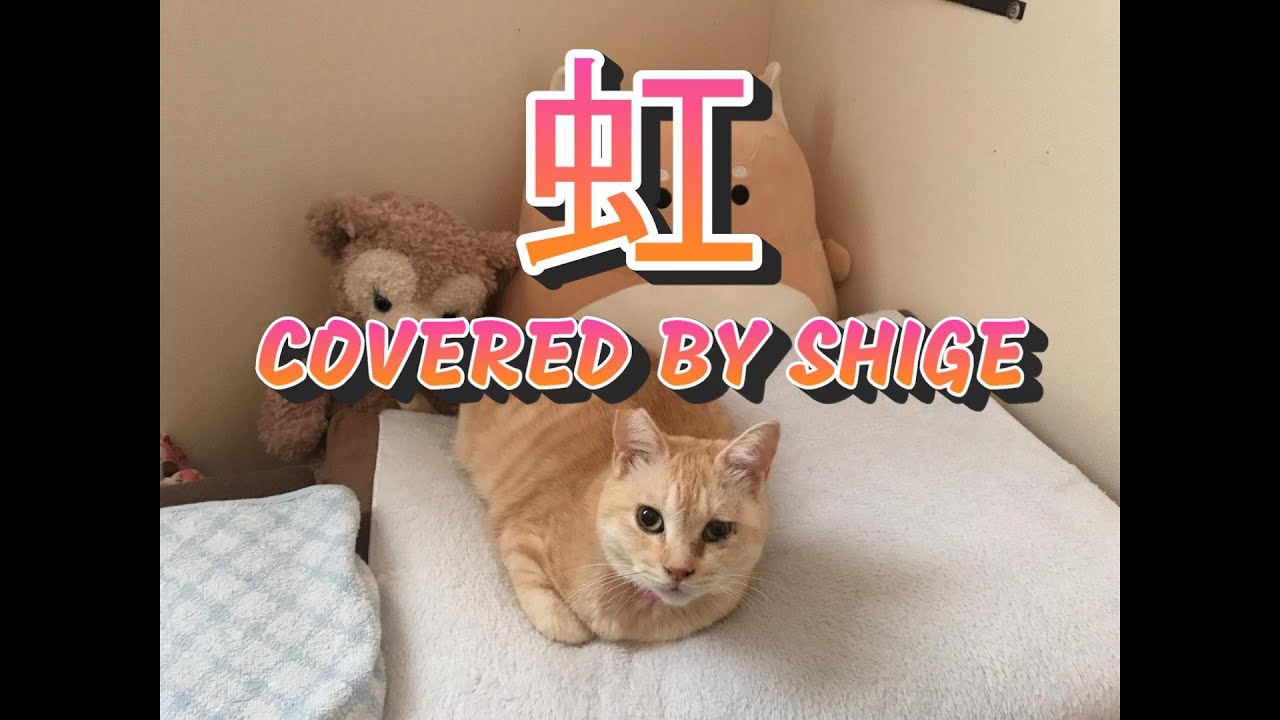虹/菅田将暉 歌ってみた【ギター弾き語り】COVERED BY SHIGE