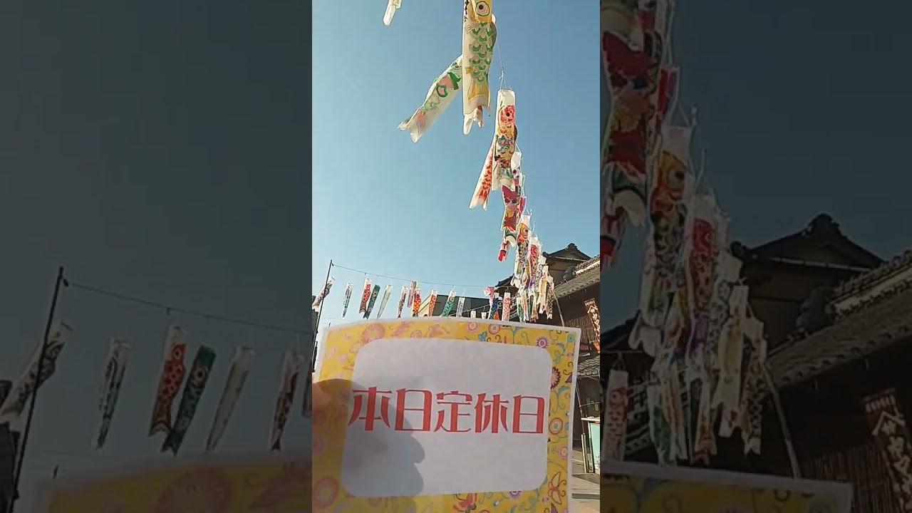 本日は定休日です。800匹の鯉のぼりが泳ぐ大正浪漫夢通り「泳げこいのぼくん」　小さな恋のうたバンド 　小さな恋のうた　をバックに（GW明けまで泳ぎます）　沖縄物産 真南風 (埼玉県 川越 ）より