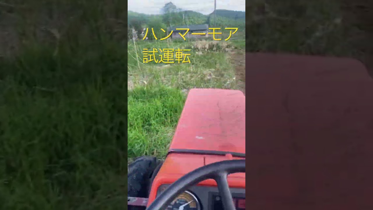 flail mower 凄すぎる⁉️これがフレールモアかー　試運転　ハンマーモア　草刈正雄