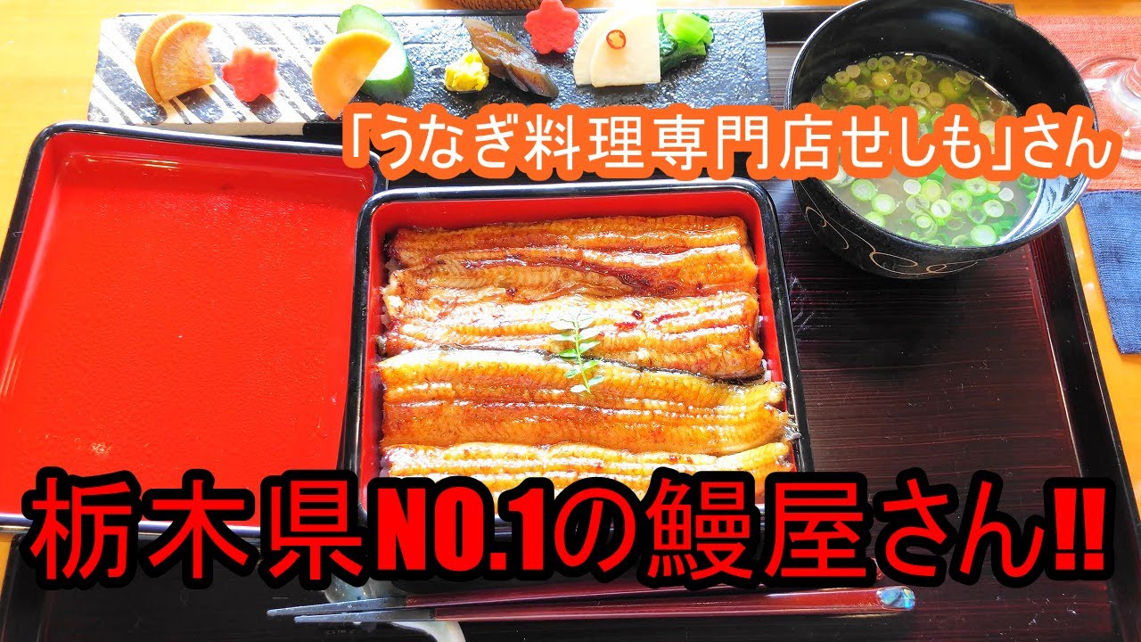 うなぎ屋さん探訪589～また行きたくなる鰻屋さん「うなぎ料理専門店せしも」さん