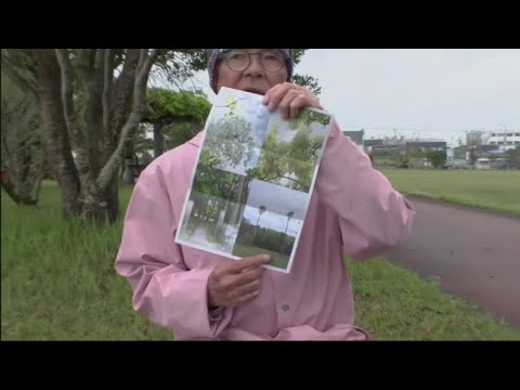 Journey of the heart across japan #1167 (2023)